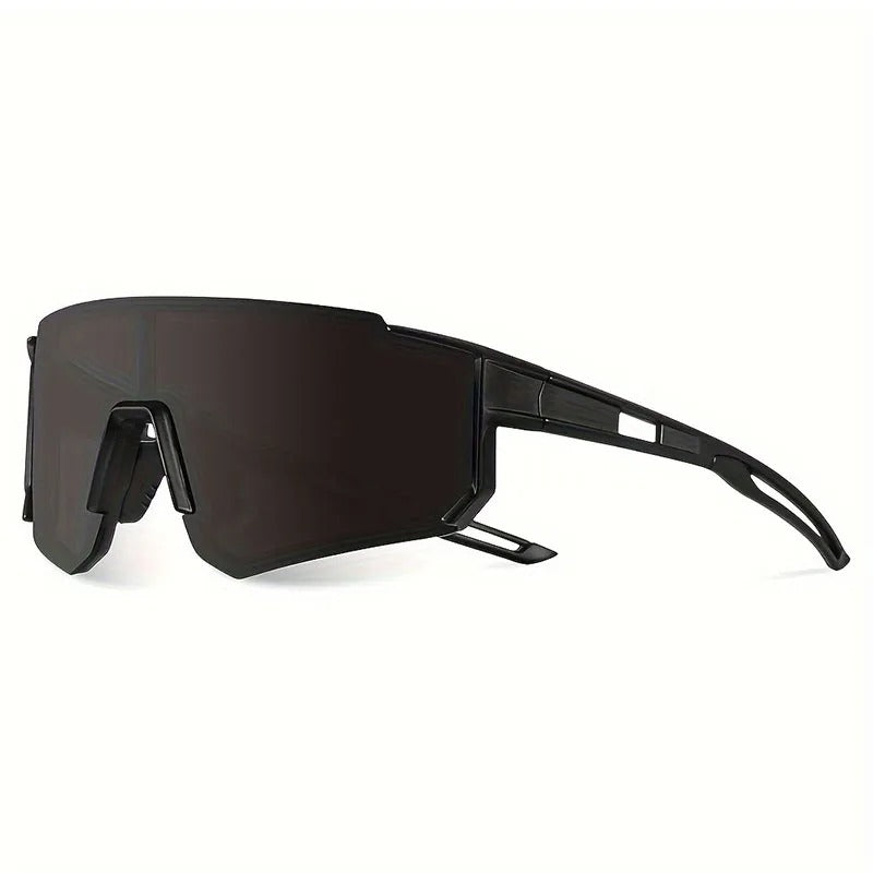 Oversized Polarized Sunglasses